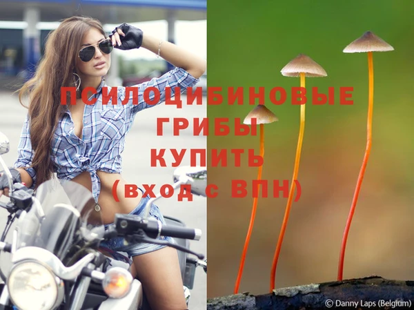 а пвп мука Алзамай