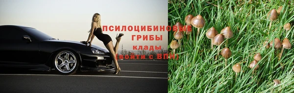 а пвп мука Алзамай