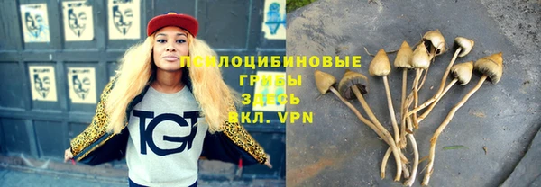 ешки Лиски