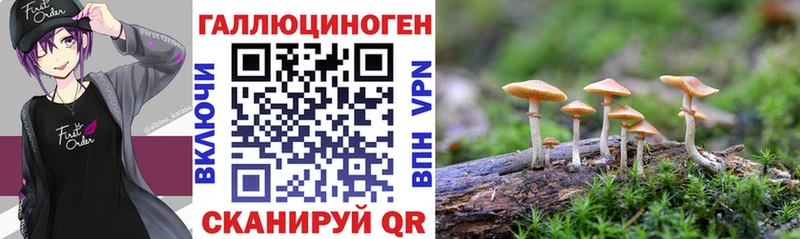 мориарти Telegram  Набережные Челны  Галлюциногенные грибы ЛСД  наркошоп  МЕГА зеркало 